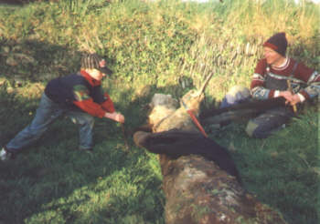 Cross Cutting an Elm Trunk
